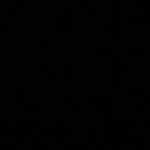 Meet your Posher, Adrian